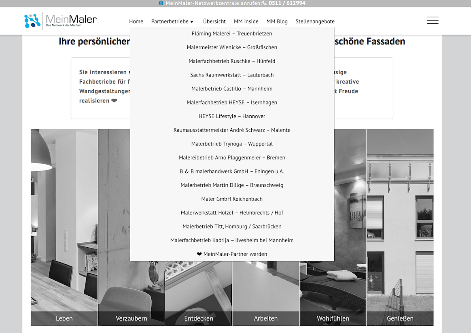 MeinMaler Netzwerk Screenshot
